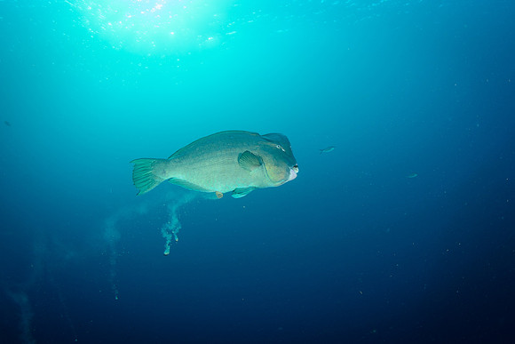 Bali, Tulamben
