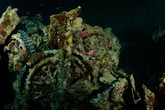 Thistlegorm