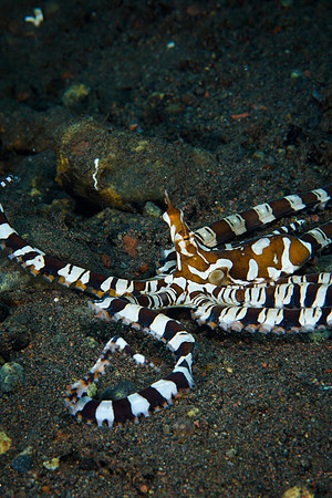 Tulamben