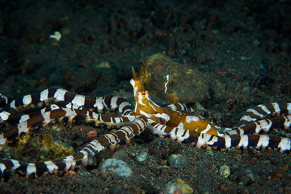 Tulamben