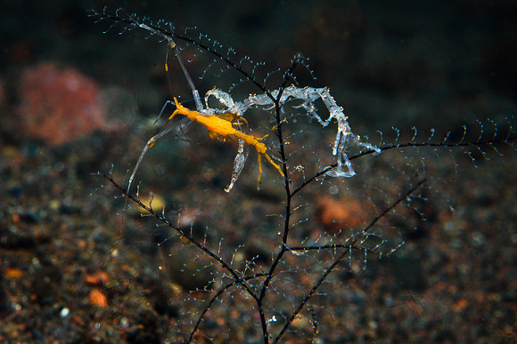 Tulamben