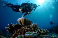 Gili Islands, Halik Reef