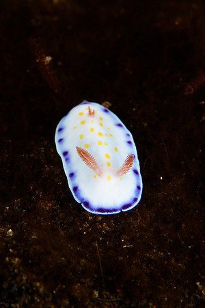 Tulamben