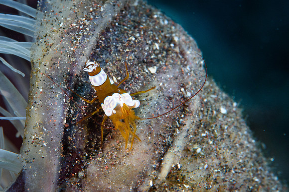 Tulamben