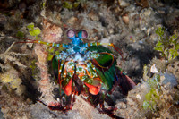Lombok, Seahorse Bay