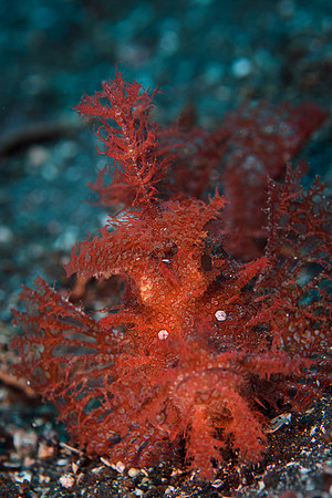 Tulamben